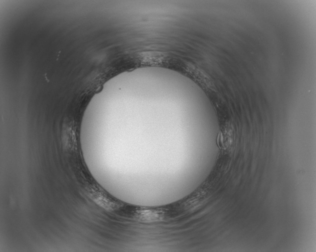 X0000072510522200607290136