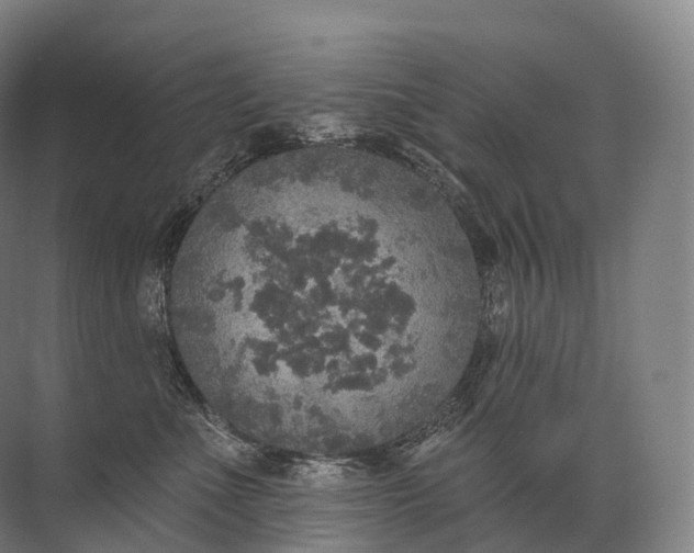 X0000072510523200607290136