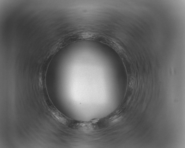 X0000072510524200607290135