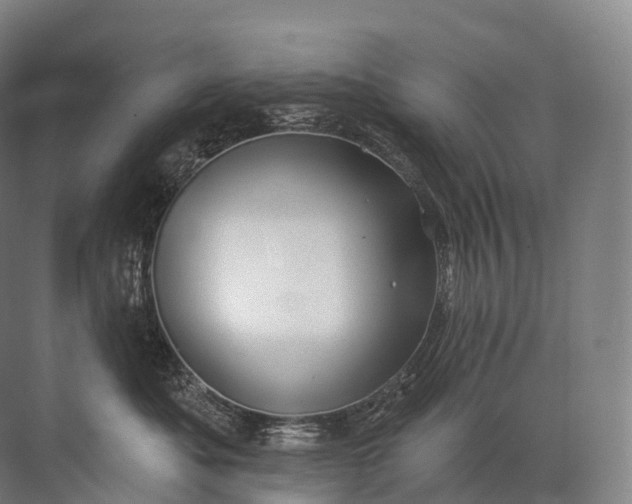 X0000072510525200607290135