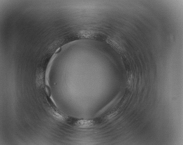 X0000072510526200607290135