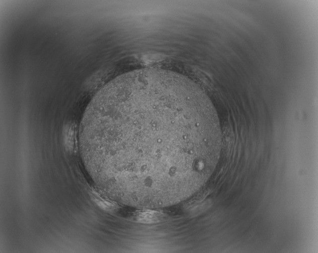 X0000072510527200607290135