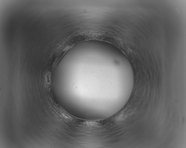 X0000072510528200607290135