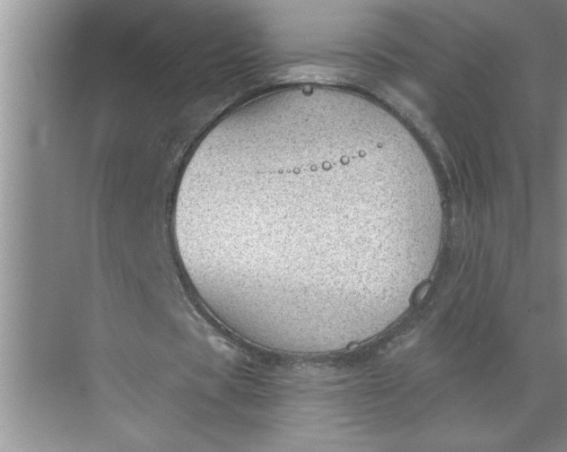 X0000072510529200607290135