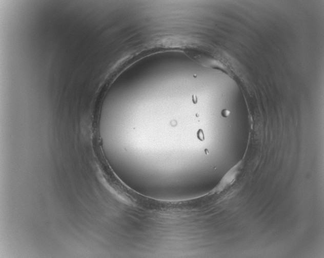 X0000072510530200607290135