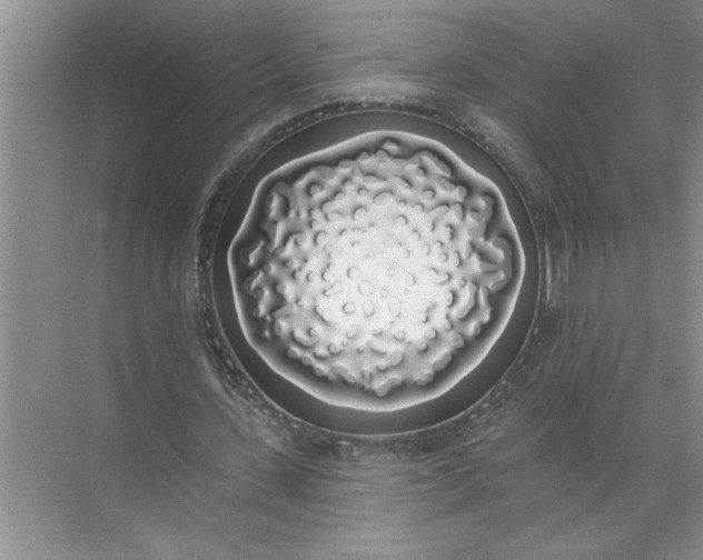 X0000072510531200607290135