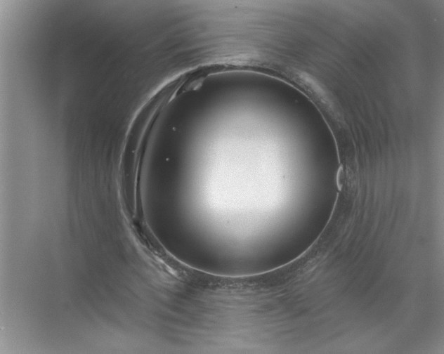 X0000072510532200607290135