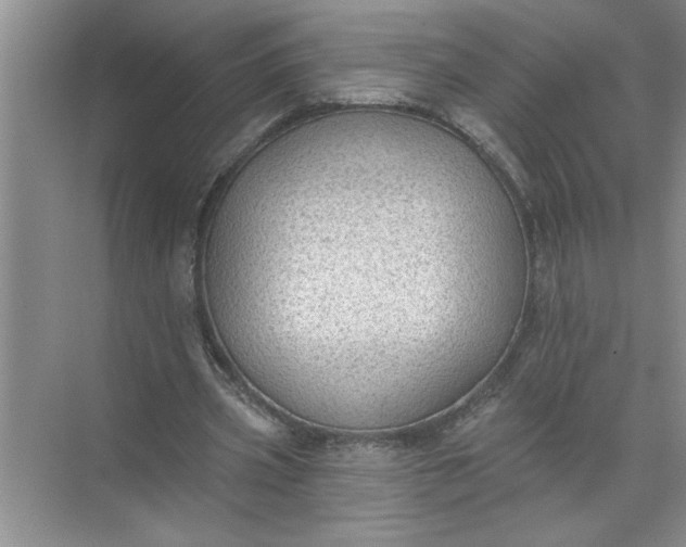 X0000072510533200607290135