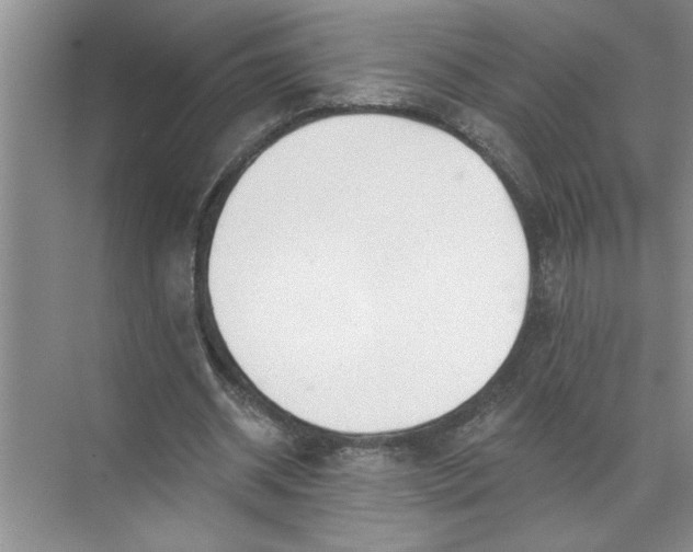 X0000072510534200607290135