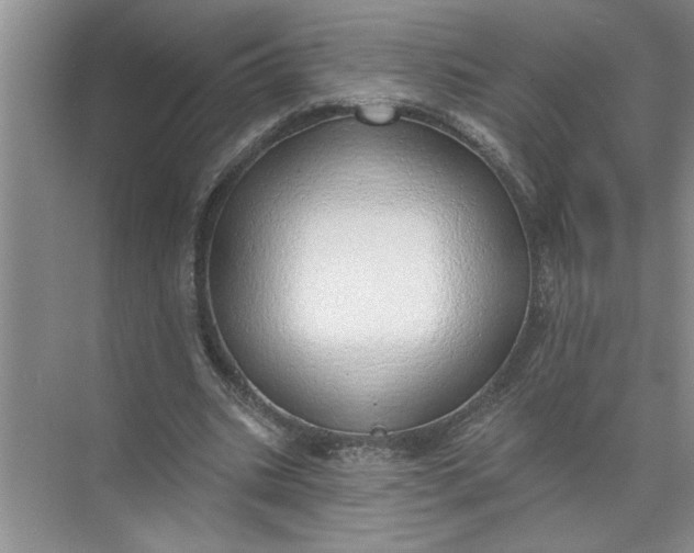 X0000072510535200607290135