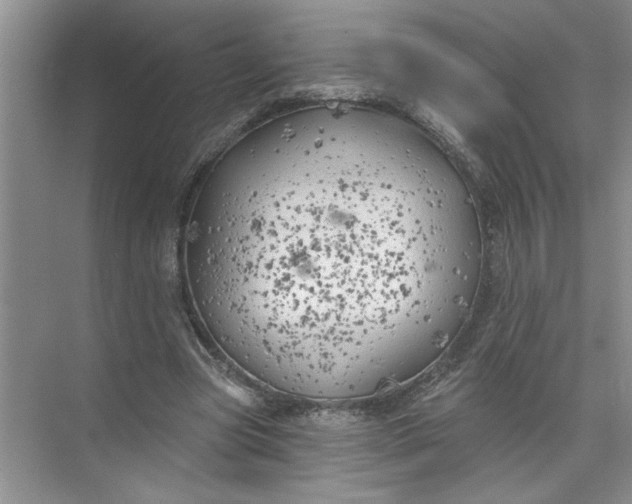 X0000072510537200607290135