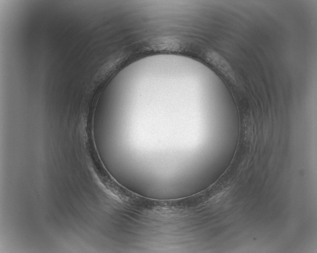 X0000072510538200607290135