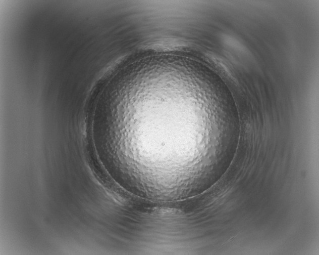 X0000072510539200607290135