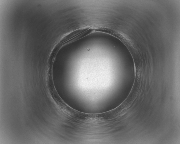 X0000072510540200607290135