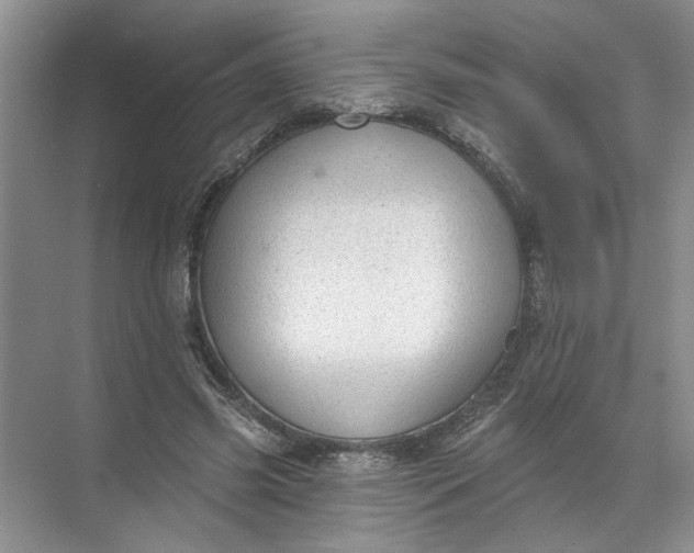 X0000072510541200607290135