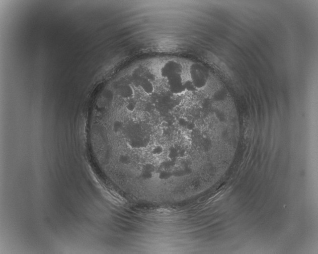 X0000072510542200607290135