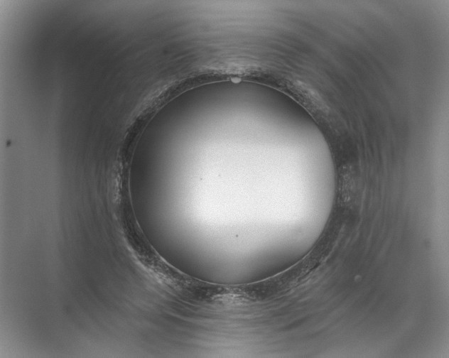 X0000072510544200607290135