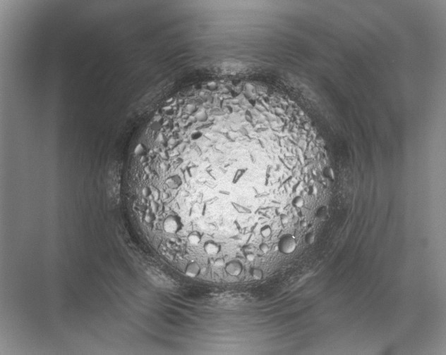 X0000072510545200607290135