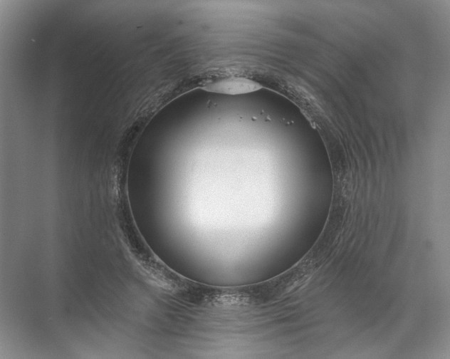 X0000072510546200607290135