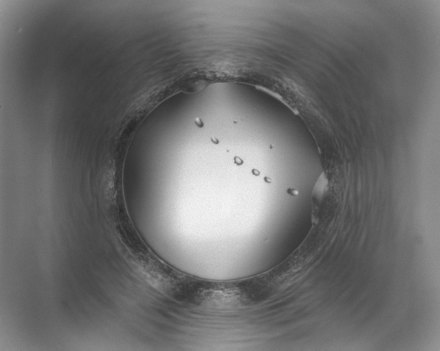 X0000072510548200607290135