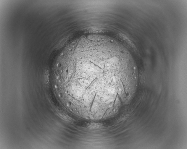 X0000072510549200607290135