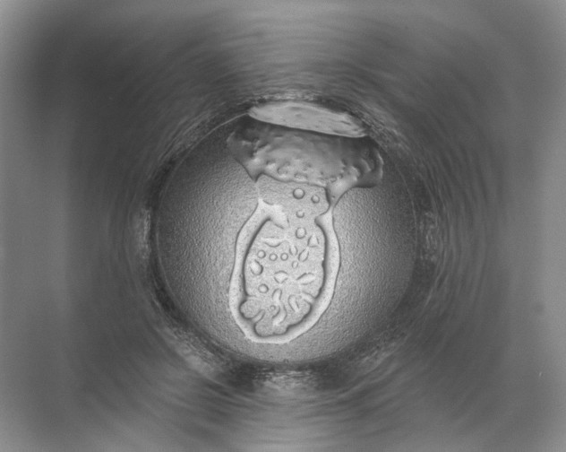 X0000072510550200607290135