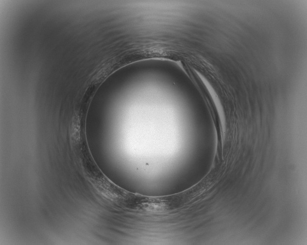 X0000072510552200607290135