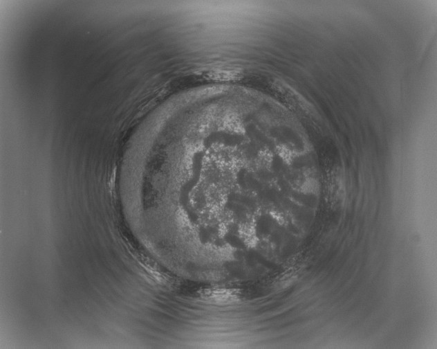 X0000072510553200607290135