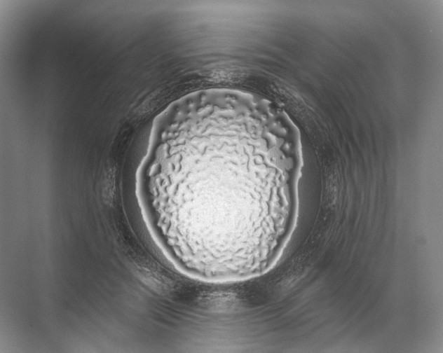 X0000072510554200607290135