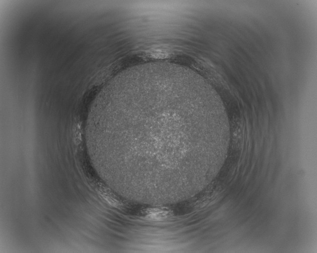 X0000072510555200607290135