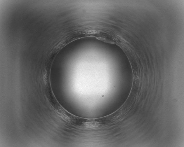 X0000072510556200607290135