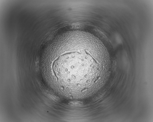 X0000072510557200607290135