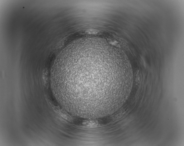 X0000072510559200607290135