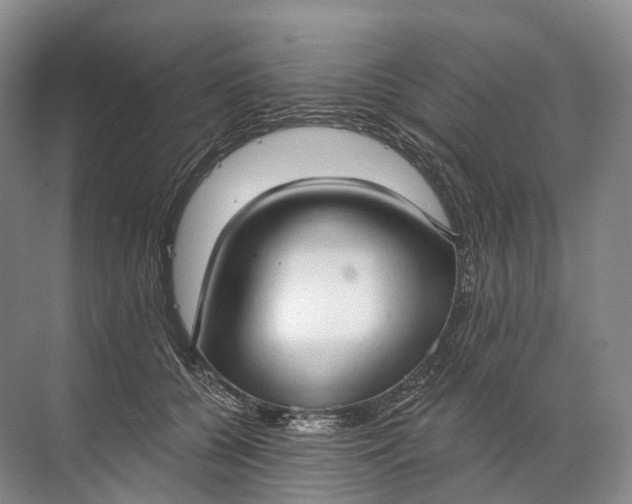 X0000072510560200607290135