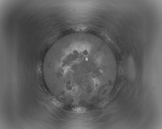 X0000072510561200607290135