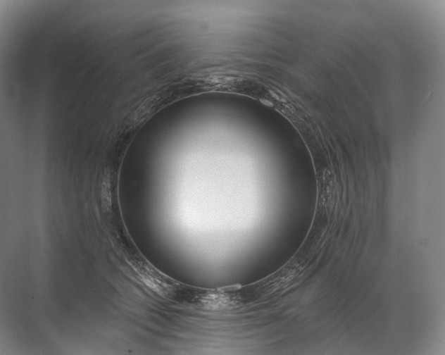 X0000072510562200607290135