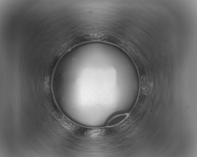 X0000072510563200607290135