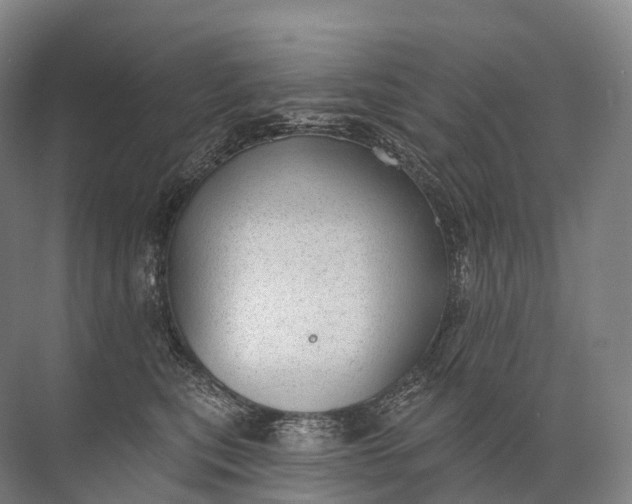 X0000072510567200607290135