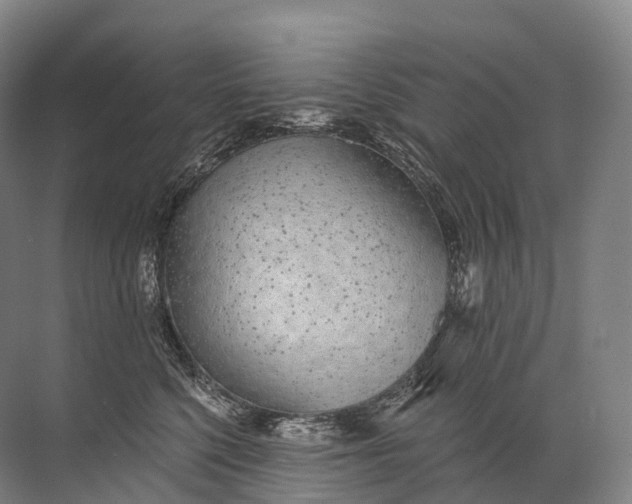 X0000072510568200607290135