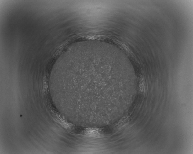 X0000072510569200607290135