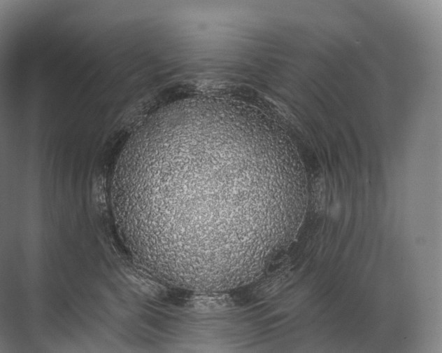 X0000072510571200607290135