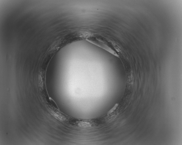 X0000072510572200607290135