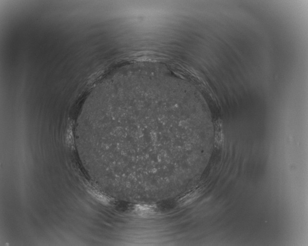 X0000072510573200607290135