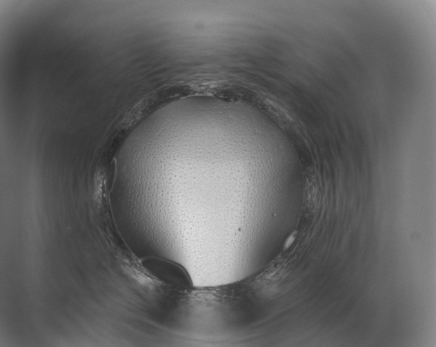 X0000072510574200607290135