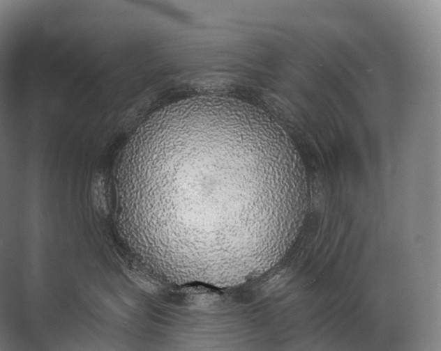 X0000072510575200607290135