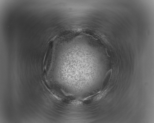 X0000072510576200607290135