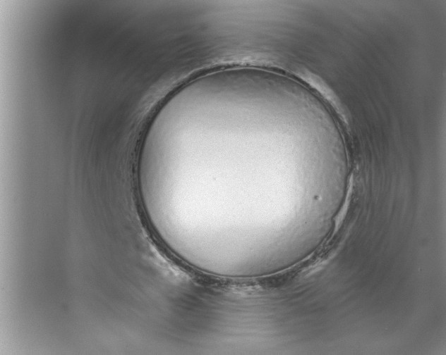 X0000072510577200607290135