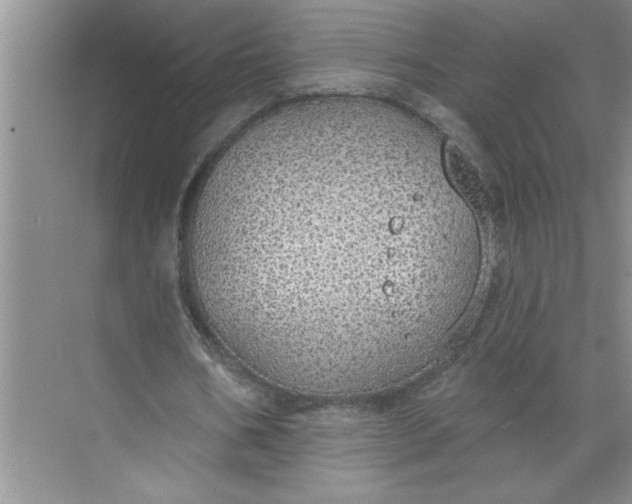 X0000072510578200607290135