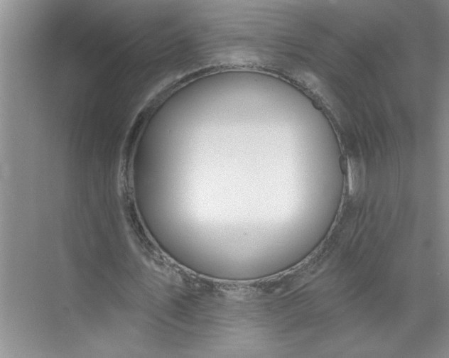 X0000072510579200607290135