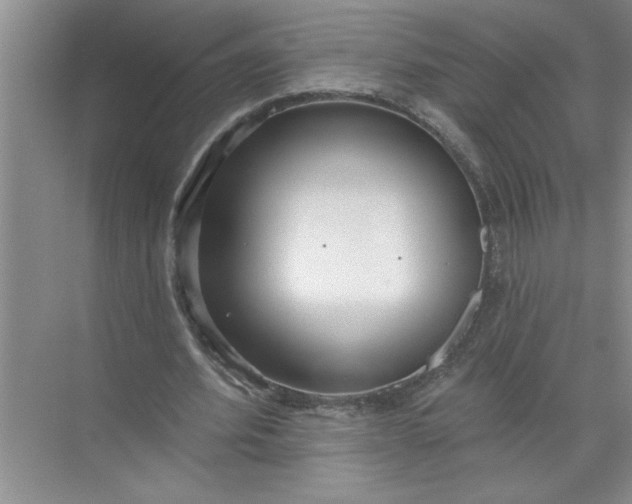 X0000072510580200607290135